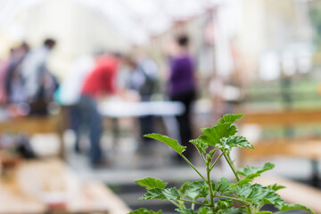 entertainment unfocused activity people outdoors