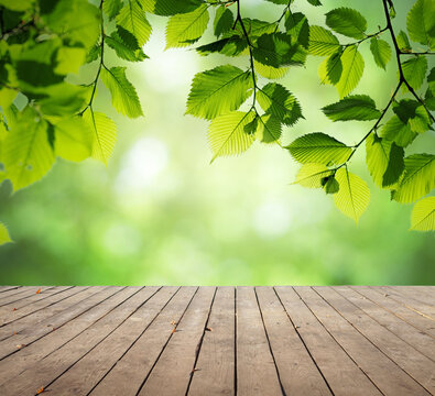Green leaves and wooden board of table