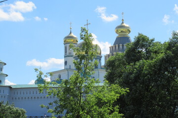 Fototapeta na wymiar New Jerusalem Monastery, Moscow Region, Russia (93)