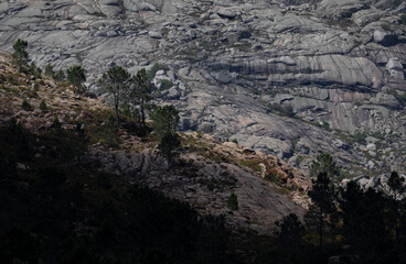 Obraz premium In the top of the mountains, land of the Iberian Wolf, Geres National Park, Minho, Portugal.