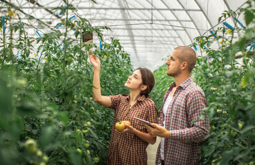 Guy and girl farmers monitor the growth of plants on an organic farm. Check in the tablet. 