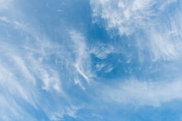 Beautiful cirrus clouds against the blue sky
