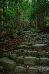 修行僧の道（日本 - 和歌山 -  熊野古道）