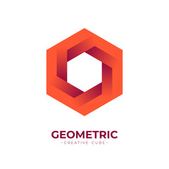 hexagon illusion 3d vector logo design