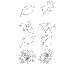 Leaf icons on white isolate background