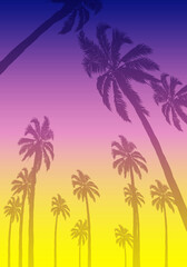 Fototapeta na wymiar Summer tropical background with palm trees and sunset, vector art illustration.