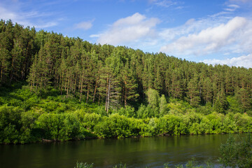 Beautiful nature, river, green forest and blue sky