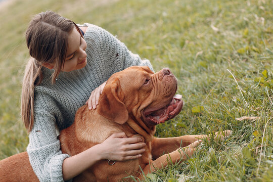 Dogue de Bordeaux or French Mastiff with young woman at outdoor park meadow