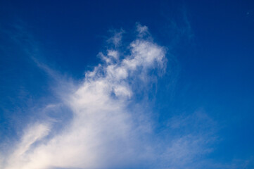 青空に広がる真っ白な雲 巻雲
