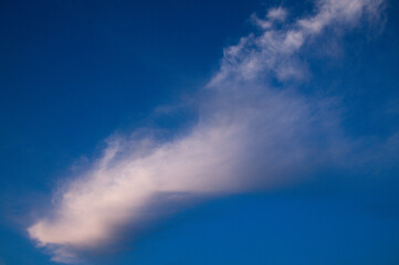 青空を背景に夕陽を受けて広がる雲 巻雲
