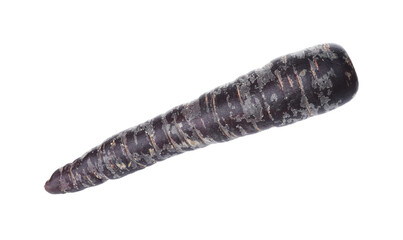 Fresh raw black carrot isolated on white
