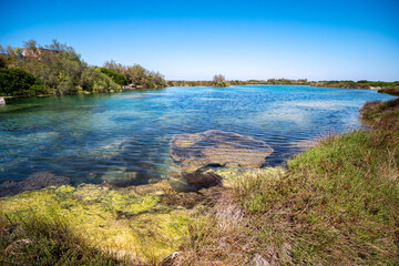 Spundulata Maggiore is a pond in the Palude del Capitano Nature Reserve, Nardò, Salento, Lecce,...