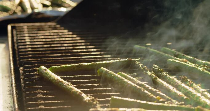 Fresh asparagus cooking on a bbq grill on a summer afternoon