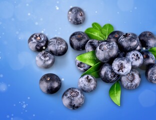 Fresh ripe sweet blueberry collection