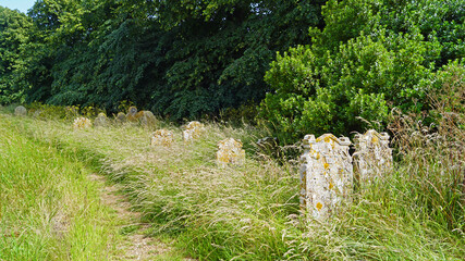 Graveyard with ancient tombs at St. Andrew's Church