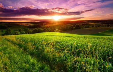Papier Peint photo Salle à manger Paysage de coucher de soleil sur un champ verdoyant avec des forêts et des collines à l& 39 horizon et le ciel peint de magnifiques couleurs dramatiques et émotionnelles