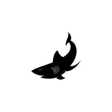 Shark Logo vector Template
