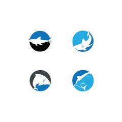 Shark Logo vector Template