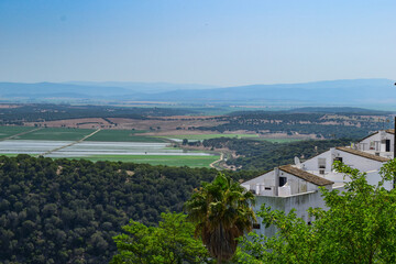 Fototapeta na wymiar Views of La Janda Lagoon and fields of andalusian countryside in Vejer de la Frontera, Cadiz