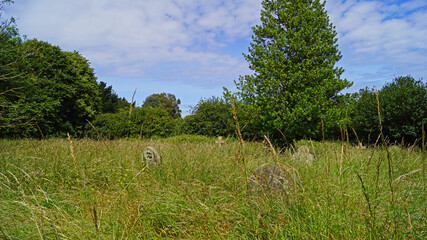 Graveyard with ancient tombs at St. Andrew's Church