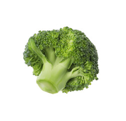Piece of fresh green broccoli isolated on white