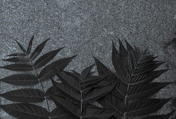 Green palm leaves on black granite background. Creative minimalism trendy backdrop for advertising design. Natural grey stone texture with tropical plants silhouettes. Palms mobile phone wallpaper.