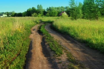 Country road in the countryside on blue sky in summer