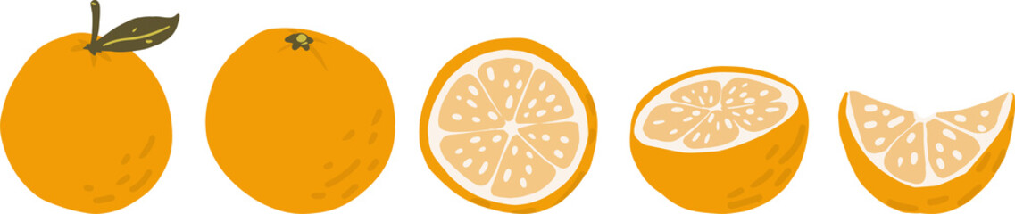 Orange, slice vector clipart set hand drawn childish flat style isolated on white background.