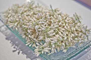 jasmine flowers on a glass plate