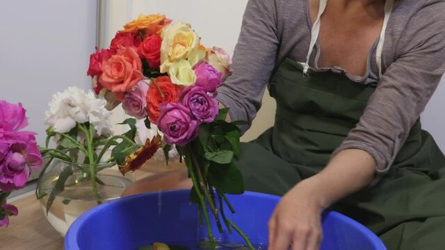 Woman at home collecting bouquet of roses near bowl of water