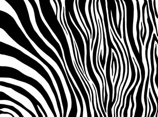 Fototapeta na wymiar Zebra print, animal skin, tiger stripes, abstract pattern, line background. Amazing hand drawn vector illustration. Poster, banner. Black and white artwork, monochrome