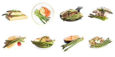 Set of different delicious meals with asparagus on white background, banner design