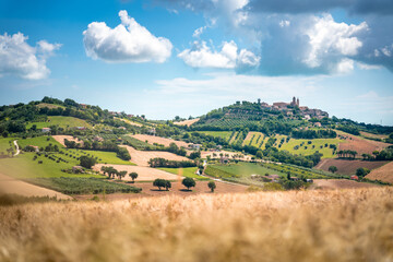 Marche Region, cultivated hills in summer, meadow, wheat and green fields. Italy - 359954892
