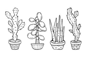 Succulent and cactus in ceramic flowerpot. Houseplant isolated. Coloring book page. Hand drawn artwork. Black and white