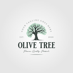 Obraz premium vintage olive tree nature logo vector illustration design