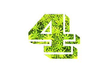 number art with overlay flower and leaf background in concept idea.