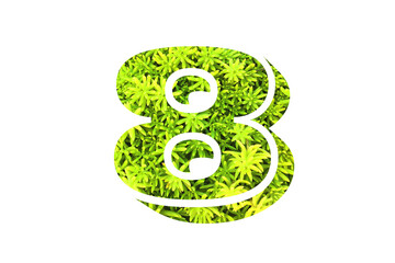 number art with overlay flower and leaf background in concept idea.