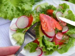 fresh salad on a plate