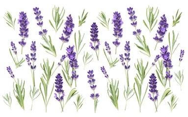 Tuinposter Lavender flowers herb leaves white background Floral banner © LiliGraphie
