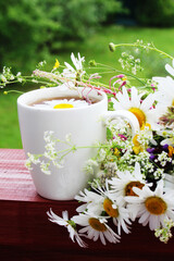 Obraz na płótnie Canvas A cup with floral natural chamomile tea
