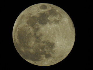 Fototapeta premium lune