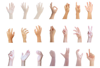 hand multiple collection with show hand up in gestures of man,woman,girl and old woman isolated on white background