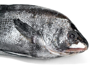 Isolated fresh frozen fish. Wholesale fish.finished fish products on a white background.