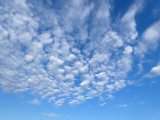 Cielo