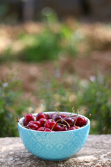 Bowl of fresh cherries, served in a garden. Selective focus.