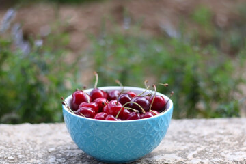 Bowl of fresh cherries, served in a garden. Selective focus.