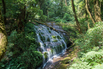 Fototapeta premium Water fall located in deep rain forest jungle at Chiang Mai, Thailand