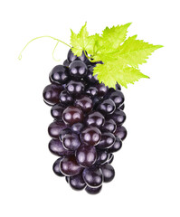 Ripe grapes isolated on the white background.