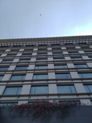 Modern office building