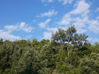 Paesaggio di Sardegna